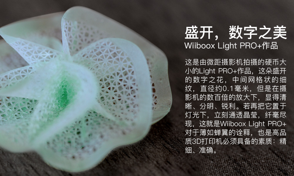 Liguht 3D打印机 Wiiboox