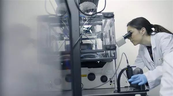 西班牙团队研究生物3D打印肌肉组织，将用于开发软体机器人。