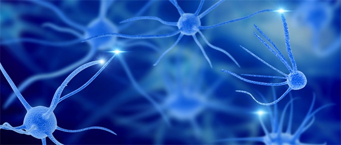 科学家用人造3D打印脊髓让瘫痪鼠再次行走！