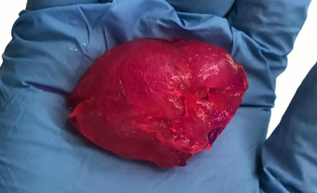 全球的3D打印心脏都到什么程度了？3D生物打印发展现状